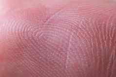 特写镜头表面指纹极端的宏摄影生物识别技术指纹识别
