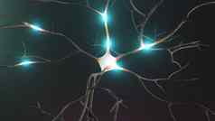 神经元信号转移低高活动呈现