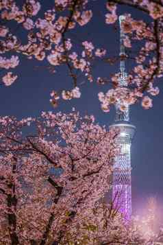 东京天空树晚上樱花海鲜