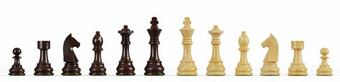 集木国际象棋白色背景呈现插图