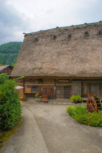 白阁京白川先生shigo屋顶