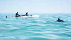发现了深蓝色的水拍摄年轻的夫妇发现海豚皮划艇湖