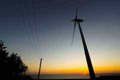风权力植物晚上风景可再生能源