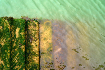 海藻覆盖步骤光绿色水