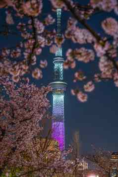 东京天空树晚上樱花海鲜