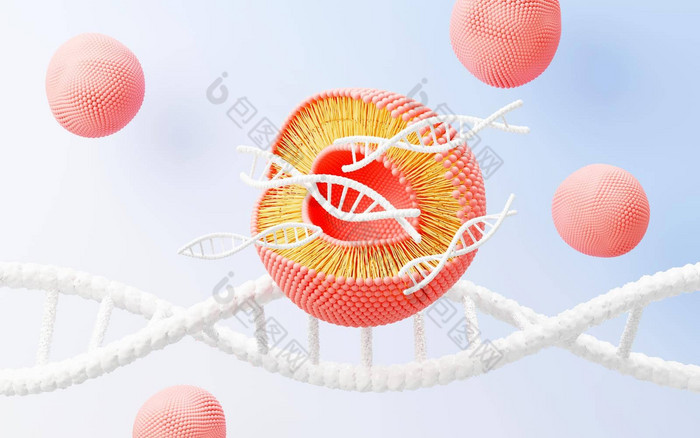 渲染细胞膜磷脂双分子层层分子基因表达式核苷酸数据库流体马赛克模型教育人类基因等离子体膜结构