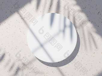 渲染前视图白色空白油缸框架模拟显示产品阴影棕榈叶子地球语气平台墙背景有创意的的想法概念