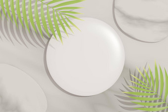 渲染前视图白色空白油缸框架模拟显示产品阴影棕榈monstera叶子有创意的的想法概念绿色自然背景