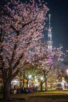 东京天空树晚上樱花海鲜