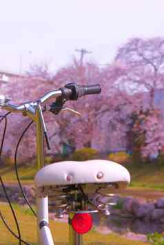 野川自行车包装樱桃花朵