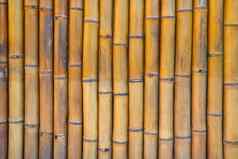 视图竹子树树干背景木纹理