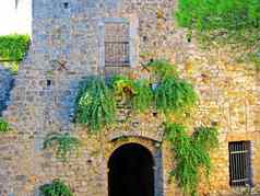 绿色植被墙古老的欧洲城堡灌木石头墙门城堡细节城堡废墟窗口晶格
