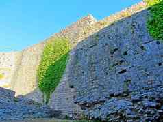 废墟古老的堡垒厚石头墙欧洲堡垒杂草丛生的绿色植物山门拱门废墟防御工事