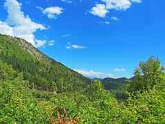 山谷村高度黑山共和国美丽的山夏天阳光明媚的一天