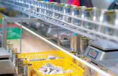 罐头鱼工厂食物行业沙丁鱼黄色的塑料篮子等待工人填满罐头罐食物处理生产行食物制造业行业输送机带