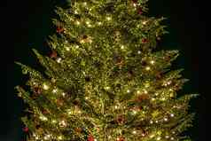 皮卡皮基发光的圣诞节树圣诞节市场