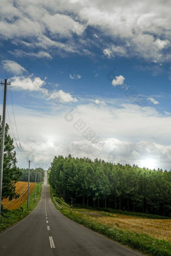 北海道长路自然