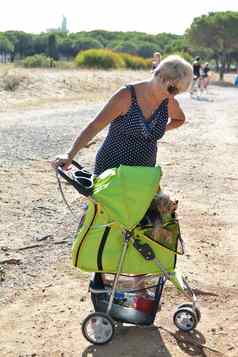 帽达格德法国7月女人巡回演出的演员宠物约克郡梗轮椅帽达格德法国
