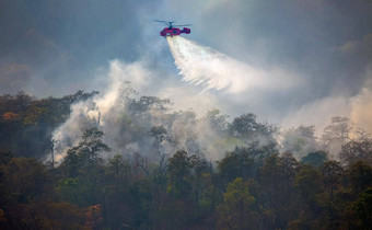 火战斗直升机下降水森林火