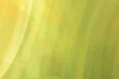 绿色黄色的橄榄背景对角上的荷叶边新鲜的横幅春天夏天梯度