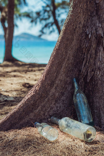 垃圾填埋场脏透明的被丢弃的空玻璃酒精饮料瓶垃圾地面树森林自然公园酗酒上瘾问题坏习惯生态问题环境污染