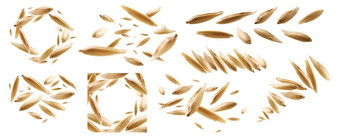 集照片燕麦谷物悬浮白色背景