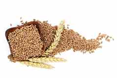 小麦种子耳朵成熟的小麦耳朵