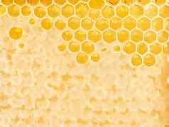 蜜蜂蜂窝特写镜头新鲜的绳的滴甜蜜的蜂蜜宏背景