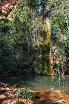 湖绿色水创建小瀑布山坡树春天阳光明媚的一天