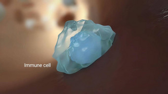 细胞免疫战斗病毒