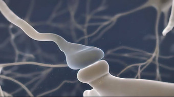 大脑细胞突触显示化学使者神经递质发布