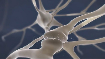 大脑细胞突触显示化学使者神经递质发布