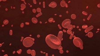 红色的血细胞动脉流内部身体<strong>医疗</strong>人<strong>类医疗</strong>保健红色的血细胞