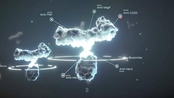 抗体蛋白质生产免疫系统战斗感染