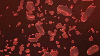 红色的血细胞动脉流内部身体医疗人类医疗保健红色的血细胞