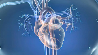 心脏导管插入术过程诊断治疗心血管条件