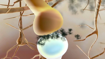 淀粉样蛋白板βd插图蛋白质涉及到老年痴呆症疾病