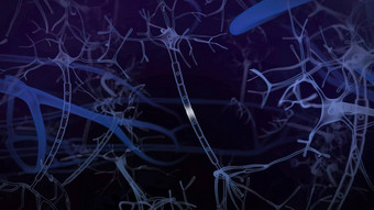 神经元大脑突触神经元细胞发送电化学信号
