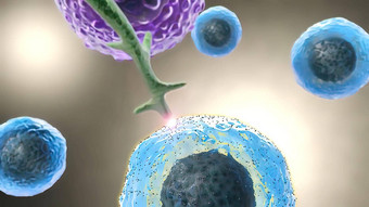医疗移动细胞<strong>微生物学</strong>细胞
