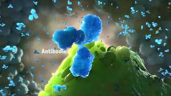 抗体蛋白质生产免疫系统战斗感染
