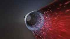 内部血船血流内部动脉红细胞