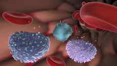 免疫系统白色血细胞抗体补充系统淋巴系统