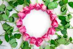 圆平铺框架使粉红色的玫瑰花