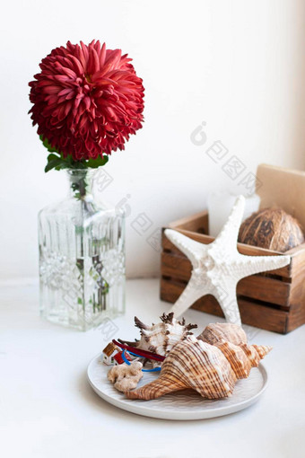 大红色的菊花站透明的玻璃花瓶附近的板贝壳木盒子椰子白色海星