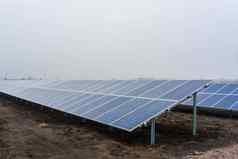 生态绿色能源太阳能面板植物安装地面