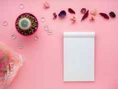 多汁的花记事本干叶子礼物盒子明亮的粉红色的背景前视图复制空间