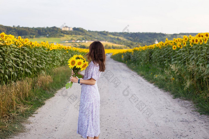 美丽的年轻的女孩衣服持有花束向日葵手站路大场向日葵