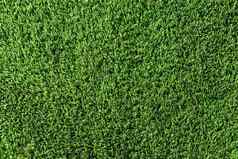 纹理绿色草背景绿色的地盘草纹理涂层足球场绿色草坪上