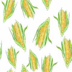 无缝的水彩背景甜蜜的玉米绘画