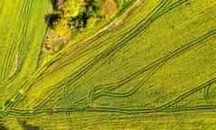 空中拍摄场拖拉机痕迹农业场播种油菜籽场